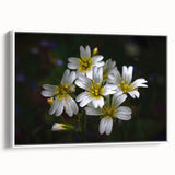 Framed canvas wall art showcasing a vibrant botanical tropical flower design in a white frame, perfect for home decor, bringing a touch of nature indoors.