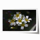 Vibrant tropical flower wall art design featuring exotic blooms in rich colors, ideal for home decor, presented as a rolled print for easy framing.