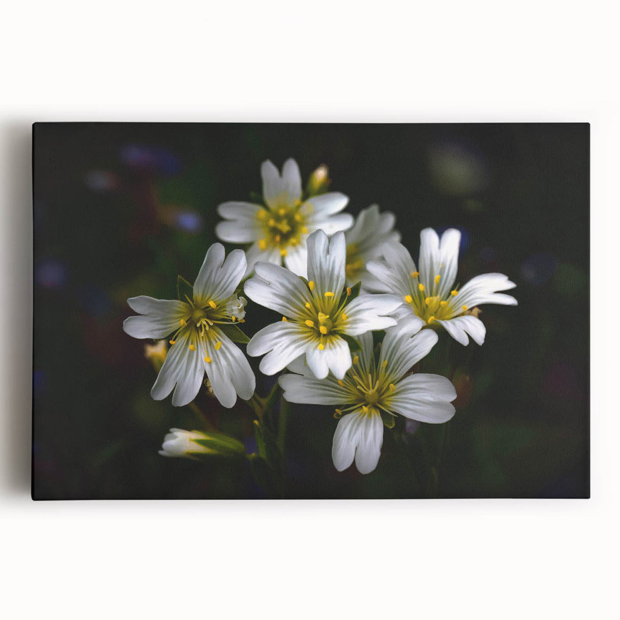 Tropical botanical flower design artwork on stretched canvas, showcasing vibrant colors and intricate details, perfect for adding a tropical touch to home decor.