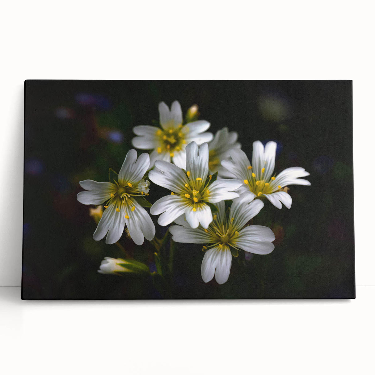 Vibrant tropical flower wall art design on stretched canvas, showcasing rich colors and intricate details, perfect for enhancing modern decor in any space.