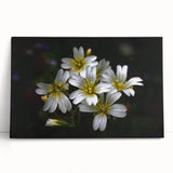 Vibrant tropical flower wall art design on stretched canvas, showcasing rich colors and intricate details, perfect for enhancing modern decor in any space.