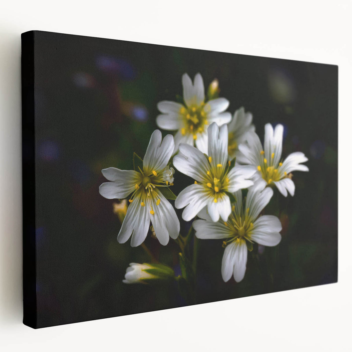 Stretched canvas wall art showcasing a vibrant tropical flower design with rich colors and intricate details, perfect for enhancing any living space décor.