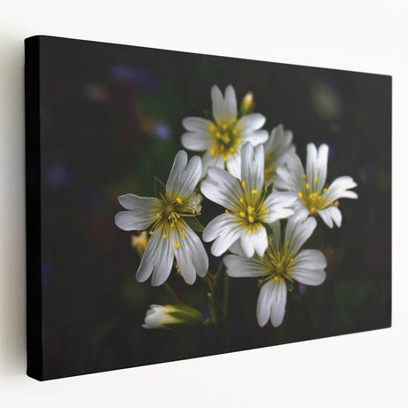 Stretched canvas wall art showcasing a vibrant tropical flower design with rich colors and intricate details, perfect for enhancing any living space décor.