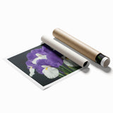 Vibrant botanical wall art print showcasing tropical flowers in rich colors, perfect for home decor. This rolled design emphasizes intricate details and natural beauty.