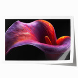 Tropical floral wall art print showcasing vibrant botanical designs, featuring lush green leaves and colorful flowers, perfect for home decor or gifting.
