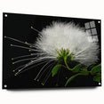 Tropical botanical wall art featuring vibrant pink and green flowers displayed in acrylic glass, showcasing a modern design with pin mounts for easy hanging.