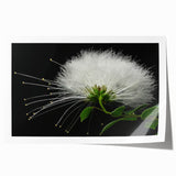 Tropical botanical wall art print featuring vibrant, colorful flowers on a textured background, rolled for easy display and shipping, ideal for home decor.
