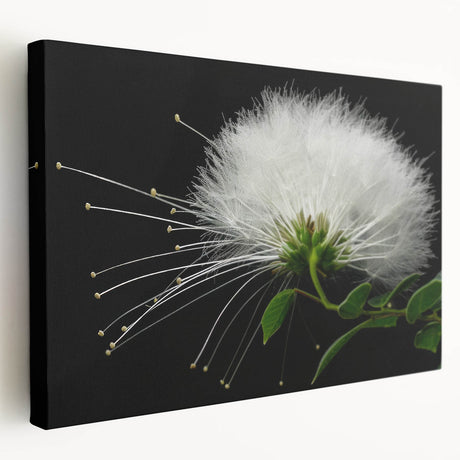 Stretched canvas wall art showcasing vibrant tropical flowers in a botanical design, featuring rich colors and intricate details, perfect for home decor.