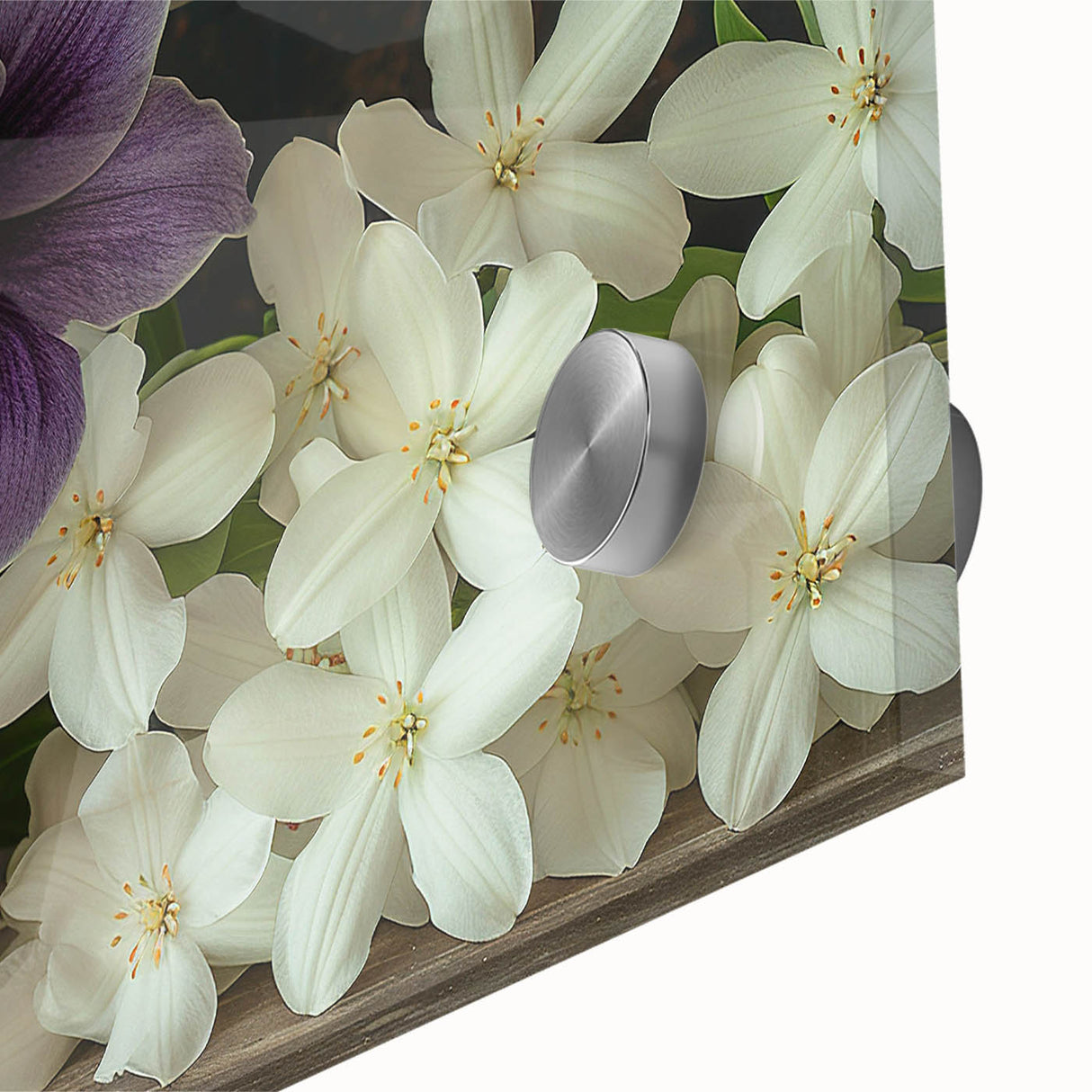 Close-up of a vibrant botanical tropical flower design in acrylic glass, showcasing intricate details and vivid colors, perfect for wall art collection.