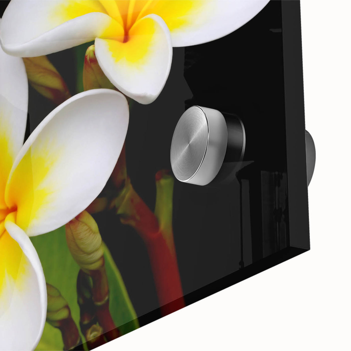 Close-up of vibrant tropical floral wall art design featuring intricate details and rich colors, suitable for home decor and botanical enthusiasts.