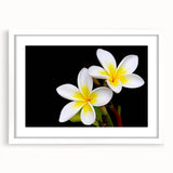Botanical tropical flower wall art design featuring vibrant colors and intricate details, framed with a white mat, perfect for enhancing home decor aesthetics.