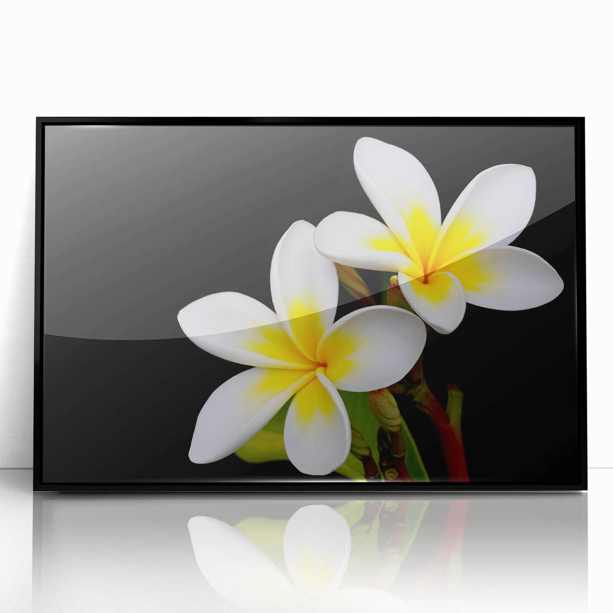 Framed wall art showcasing a vibrant tropical flower design with rich colors, perfect for home decor. The acrylic frame features a sleek black finish, enhancing the botanical aesthetic. Ideal for adding a touch of nature to any room.