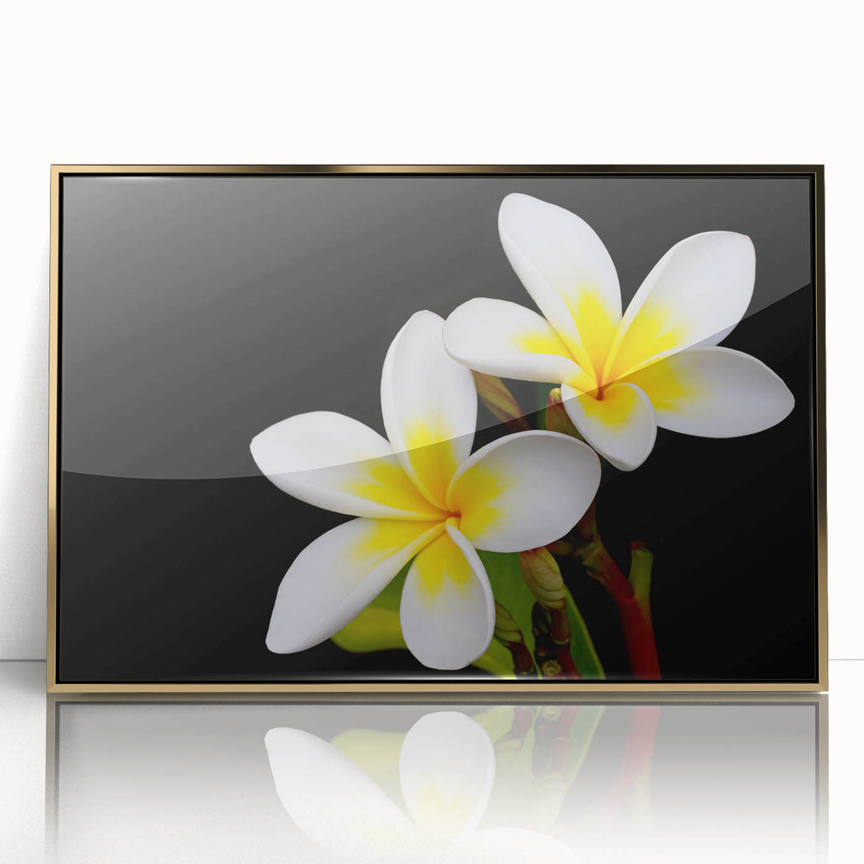 Tropical botanical wall art featuring vibrant, intricately designed flowers in a sleek gold frame, showcasing a modern aesthetic ideal for home decor.