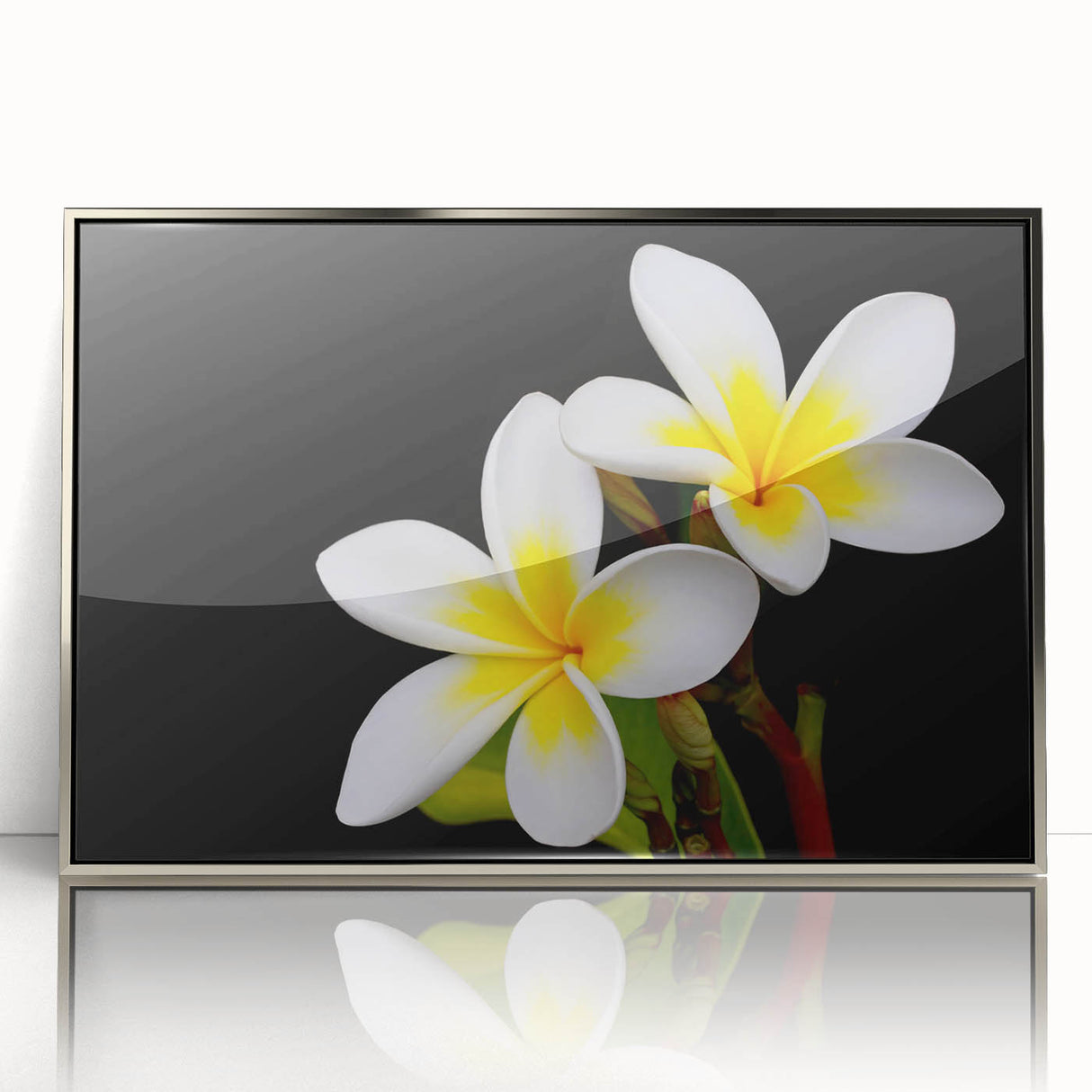 Framed wall art featuring a vibrant tropical flower design with intricate botanical details, set in a sleek silver frame, ideal for home decor enhancement.