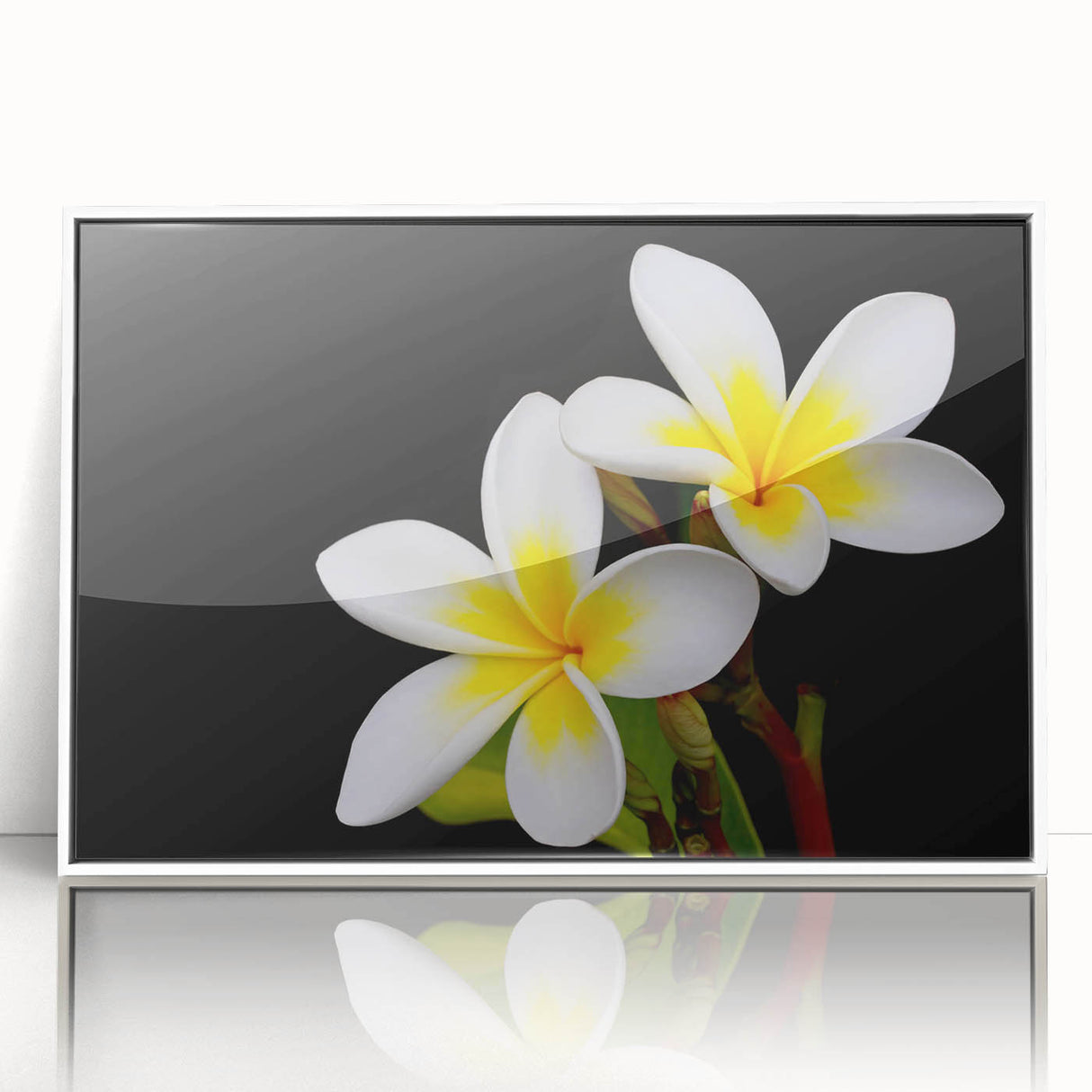 Tropical botanical flower wall art collection featuring vibrant colors and intricate details, framed in white acrylic, ideal for enhancing modern decor.