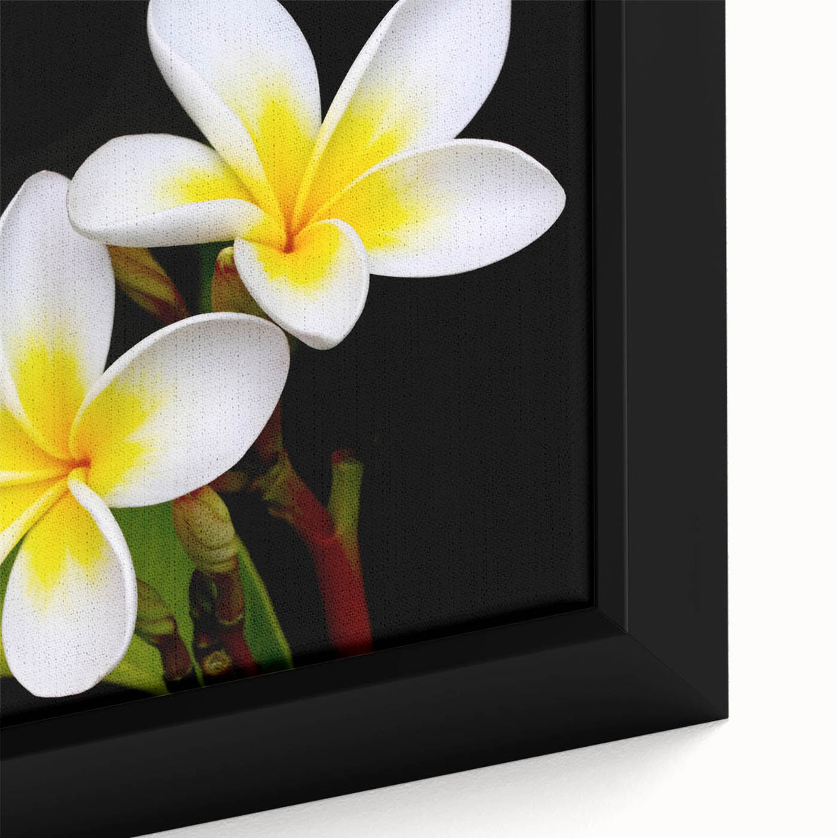Vibrant close-up of a framed botanical tropical flower wall art piece, showcasing intricate details and vivid colors of exotic blooms, perfect for home decor.