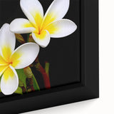 Vibrant close-up of a framed botanical tropical flower wall art piece, showcasing intricate details and vivid colors of exotic blooms, perfect for home decor.