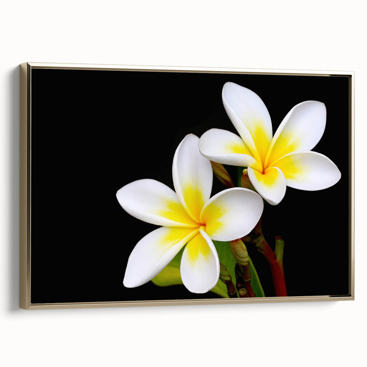 Framed wall art featuring a vibrant botanical tropical flower design in gold tones, showcasing lush foliage and intricate details, perfect for home decor.