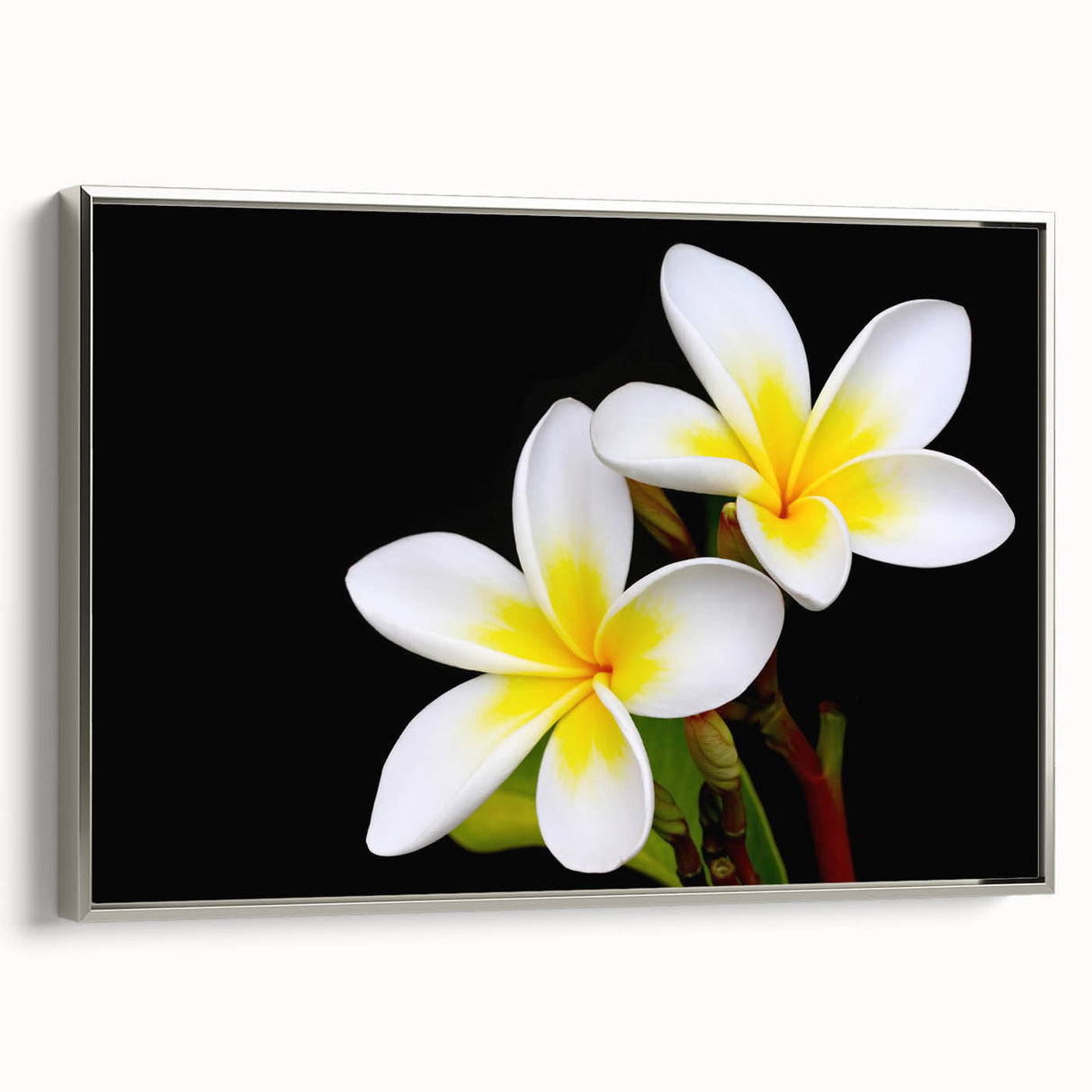 Framed wall art showcasing a vibrant botanical tropical flower design with silver accents, perfect for enhancing modern decor in living spaces or offices.