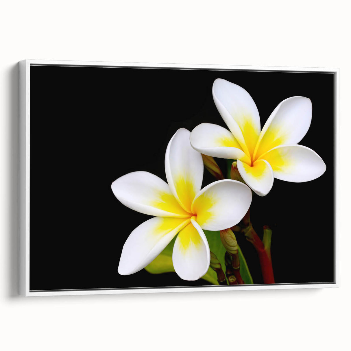 Framed wall art showcasing a vibrant tropical flower design with intricate botanical details, set against a sleek white background, ideal for home decor.