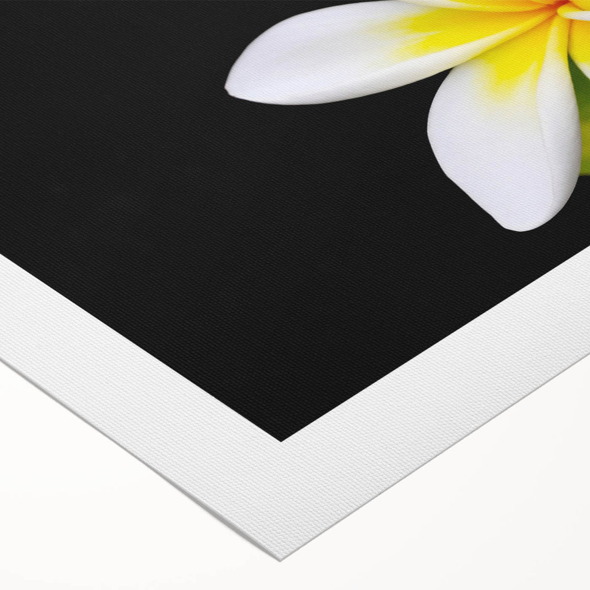 Tropical botanical wall art design featuring vibrant flowers in a rolled canvas format, ideal for home decor, showcasing vivid colors and intricate details.