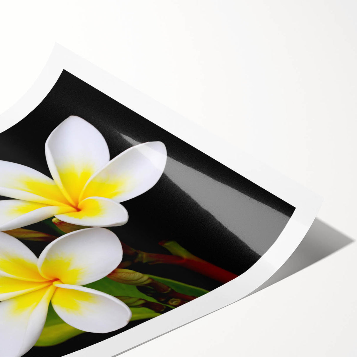 Tropical botanical flower design wall art print featuring vibrant colors and intricate floral patterns, rolled for easy display and shipping in a protective tube.