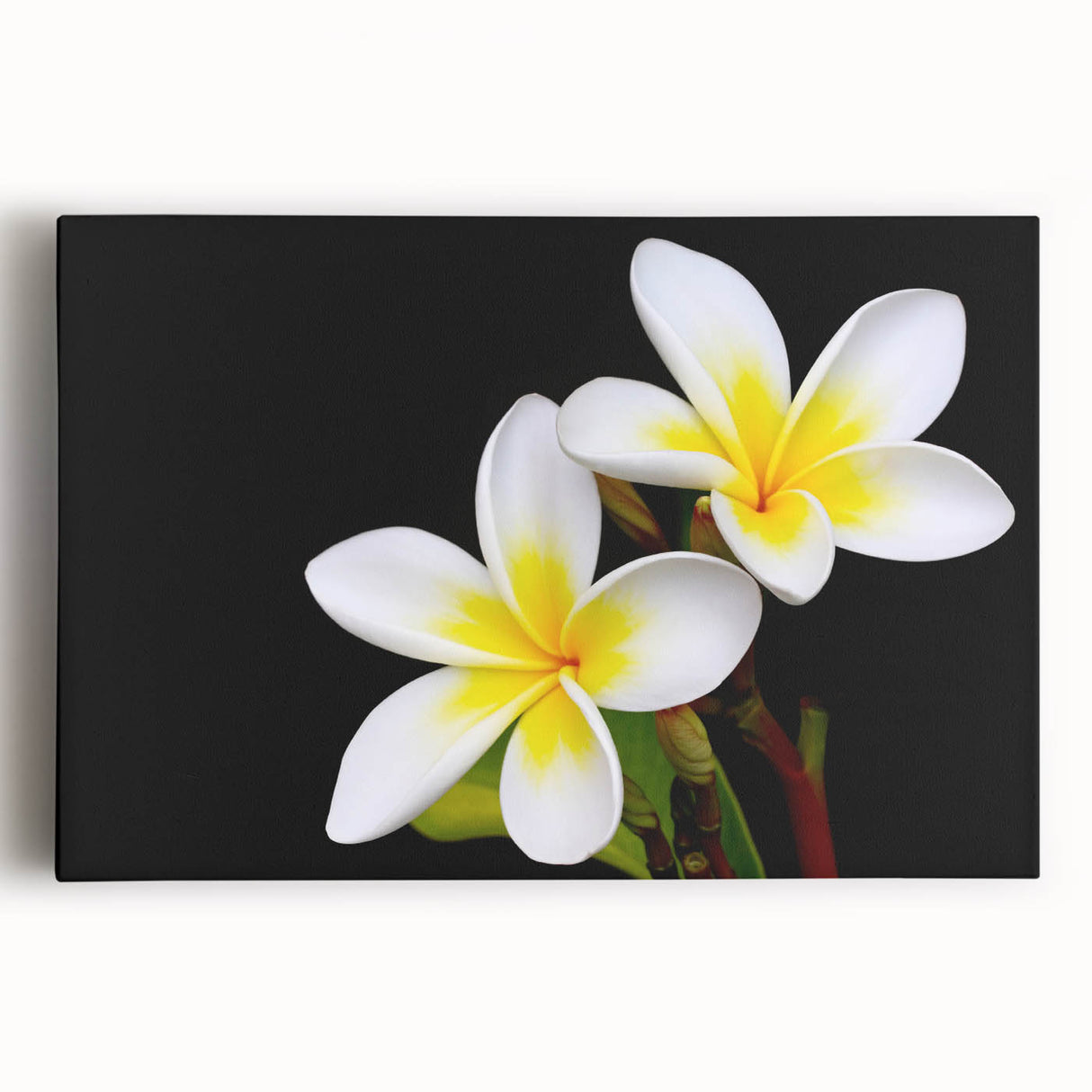 Tropical botanical wall art featuring vibrant, colorful flowers on a stretched canvas, perfect for enhancing home decor with a lively, nature-inspired aesthetic.