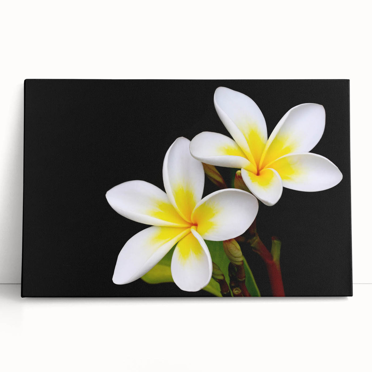 Tropical botanical wall art featuring vibrant flowers, designed on stretched canvas, leaning elegantly against a textured wall, ideal for home decor.