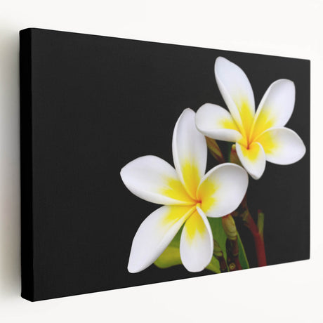 Stretched canvas wall art showcasing a vibrant tropical flower design, featuring intricate botanical details in rich colors, ideal for home decor enhancement.