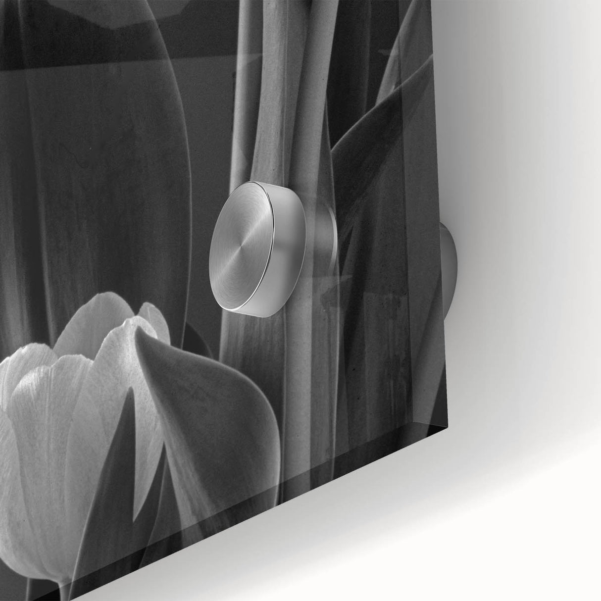 Close-up of a botanical wall art piece featuring vibrant tulip designs in rich colors, elegantly displayed under acrylic glass, perfect for home decor.