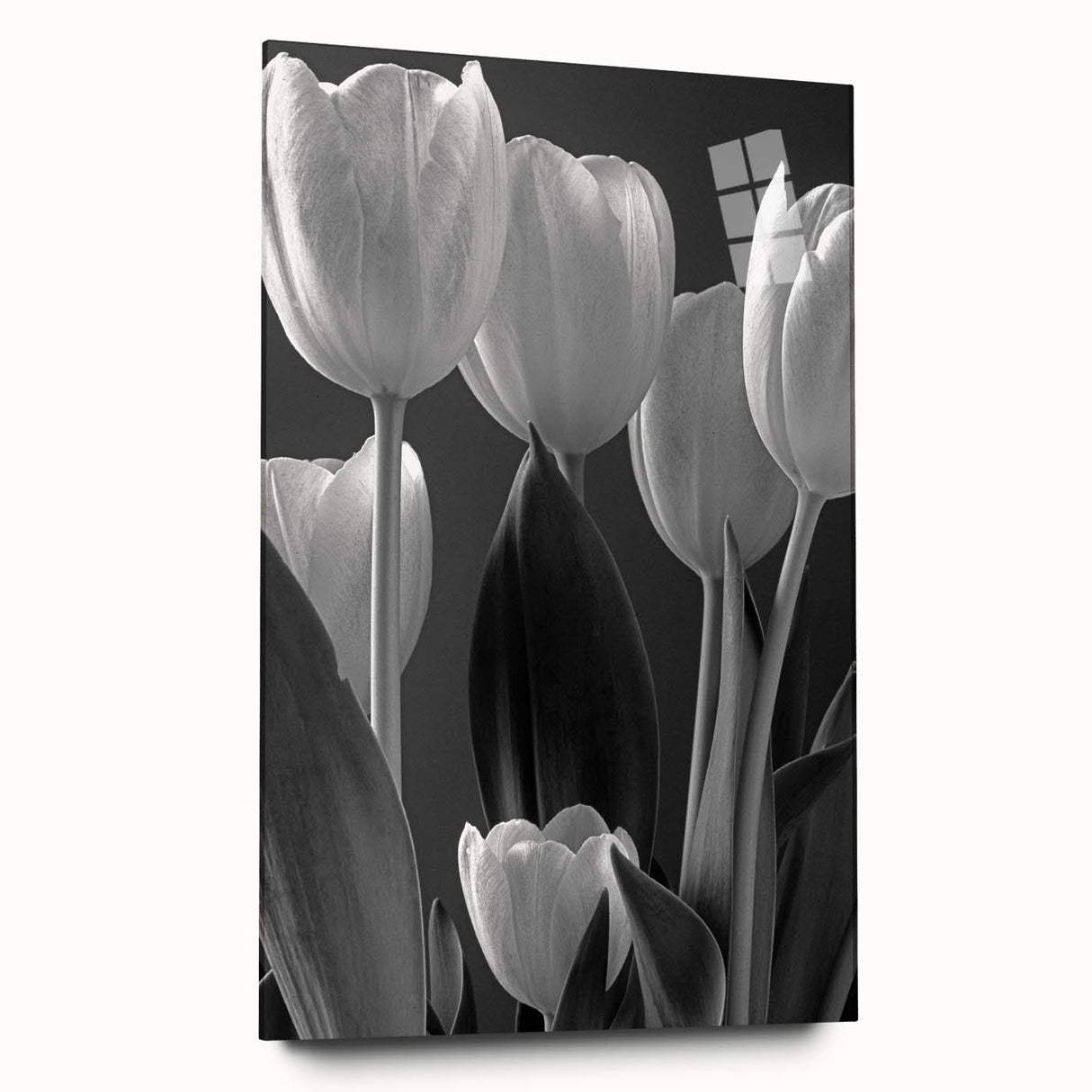 Botanical wall art design featuring vibrant tulips in a stylish acrylic glass frame, showcasing a side view that highlights its elegant colors and intricate details. Perfect for adding a touch of floral beauty to any decor.