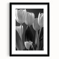 Framed botanical wall art showcasing a vibrant tulip design in a black frame with matting, ideal for enhancing home decor and adding a touch of nature.