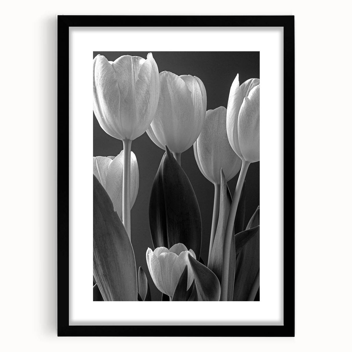Framed botanical wall art showcasing a vibrant tulip design in a black frame with matting, ideal for enhancing home decor and adding a touch of nature.
