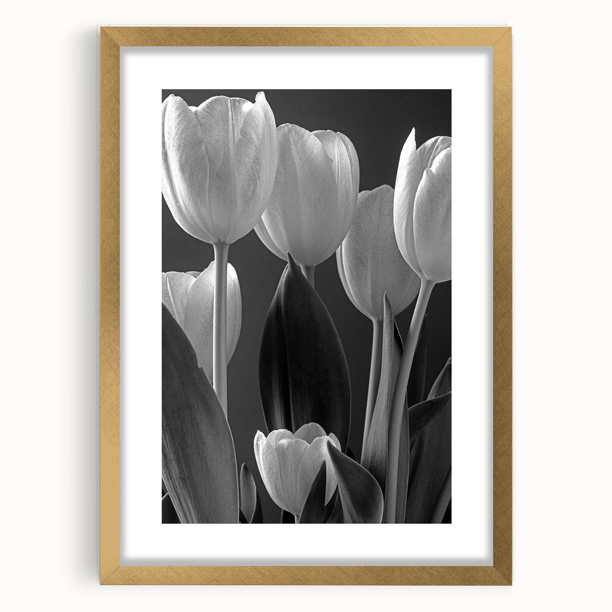 Elegant botanical tulip wall art design framed in gold, showcasing vibrant colors and intricate details, perfect for enhancing home decor with a touch of nature.