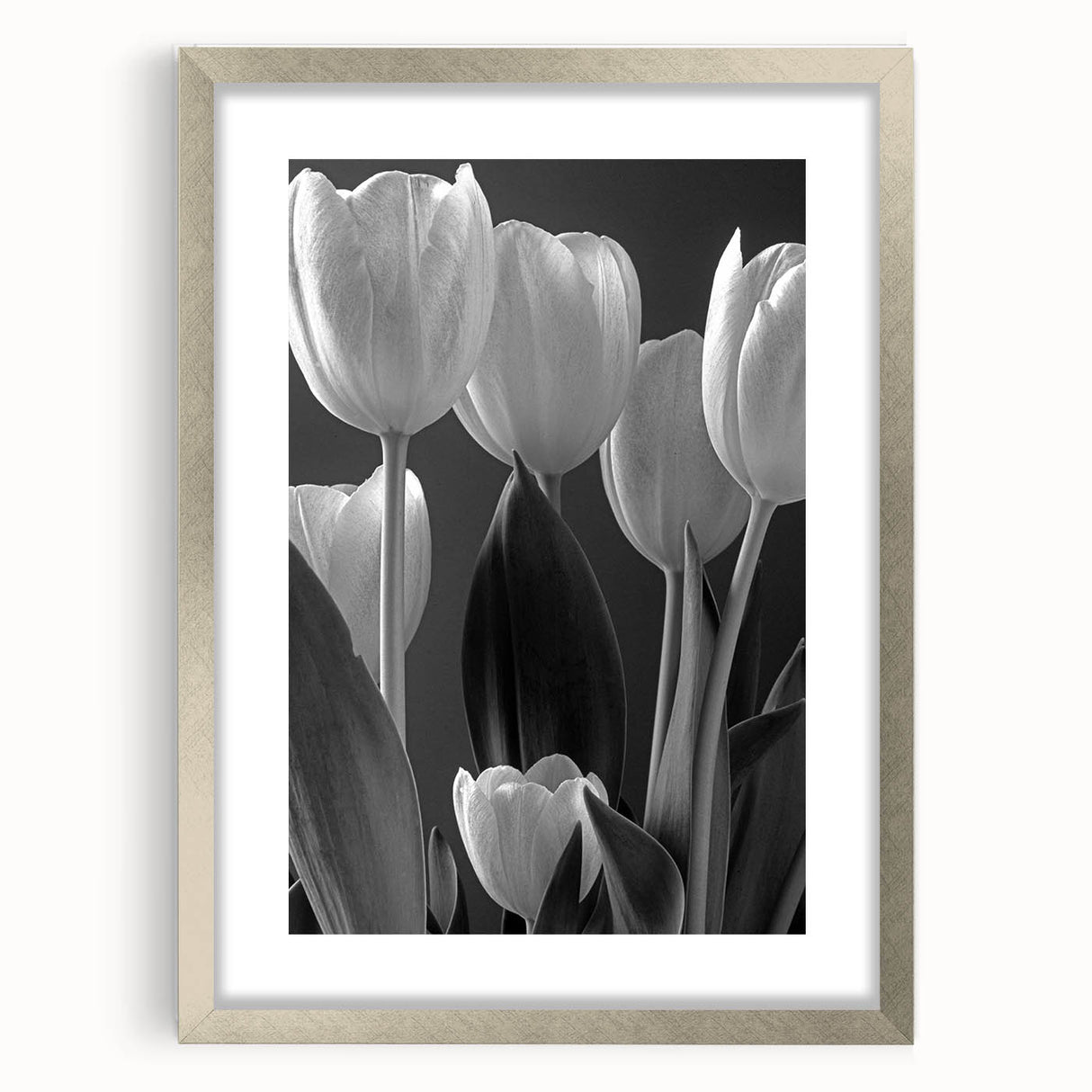 Botanical wall art featuring a delicate tulip design in a silver frame with a mat, showcasing vibrant colors and intricate details, perfect for home decor.