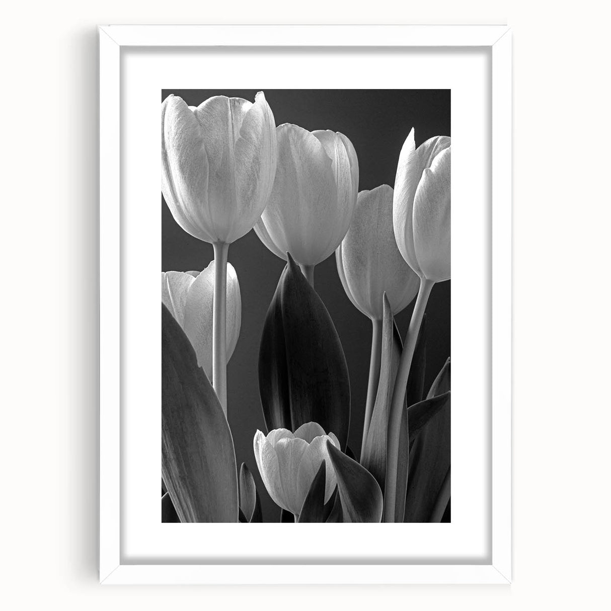 Framed botanical wall art featuring a delicate tulip design in soft pastel colors, set against a white mat. Ideal for modern home decor and floral enthusiasts.