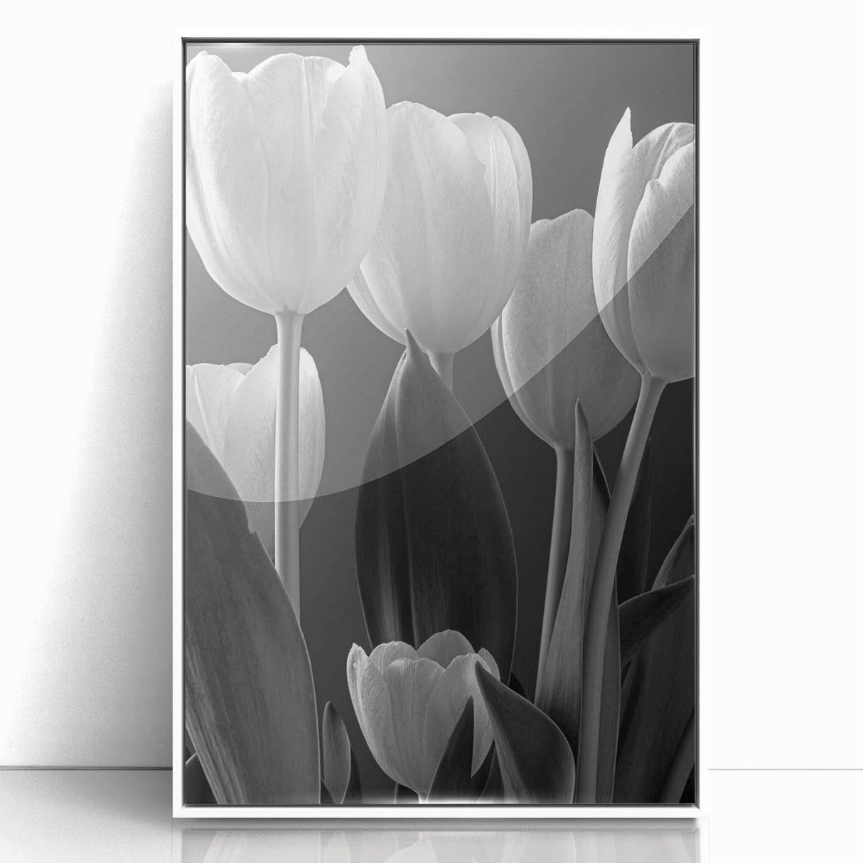 Framed acrylic wall art featuring a botanical tulip design in vibrant colors, set against a sleek white background, ideal for modern home decor and floral enthusiasts.