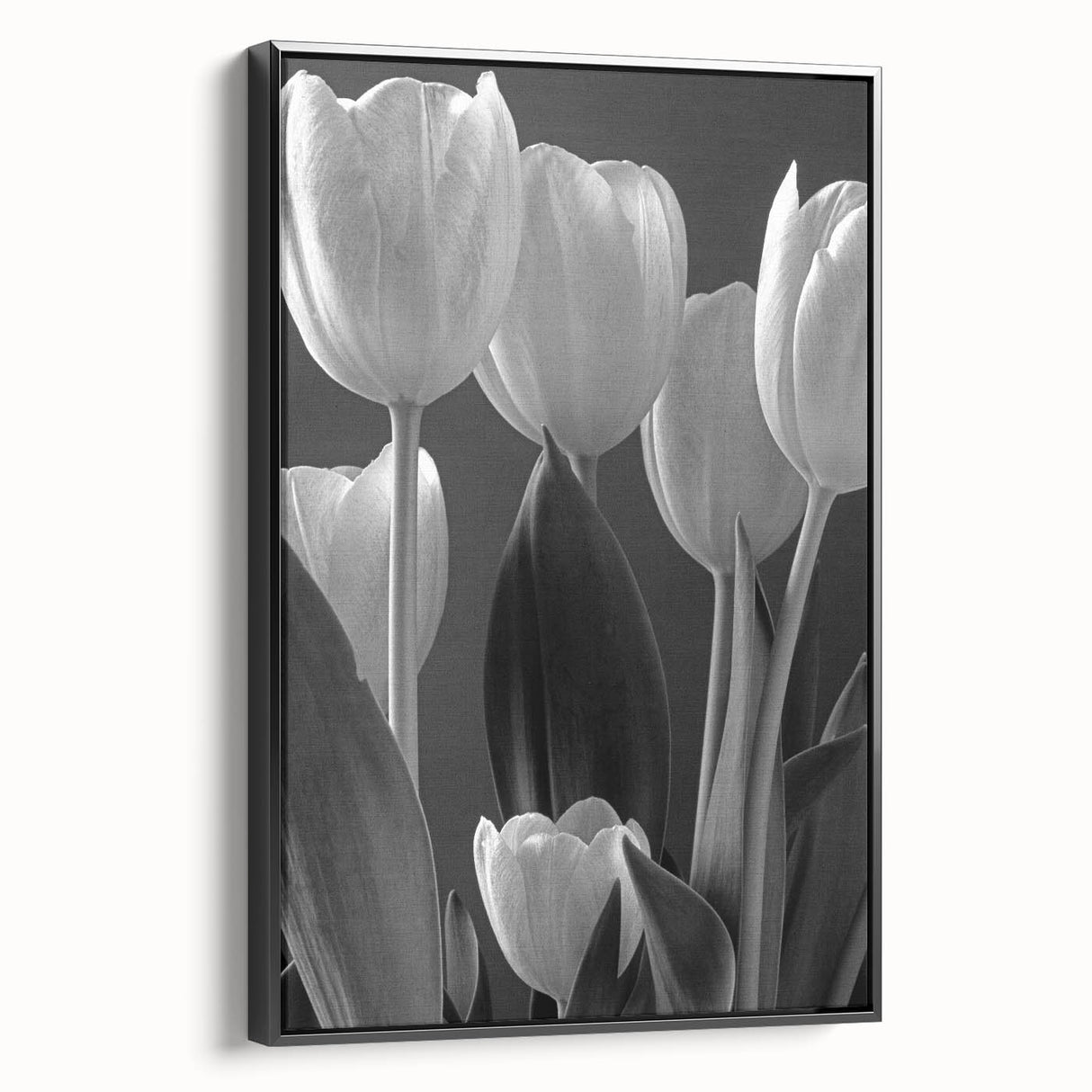 Framed botanical tulip wall art in a sleek black frame, showcasing vibrant flower designs on a canvas, perfect for home decor or art collections.