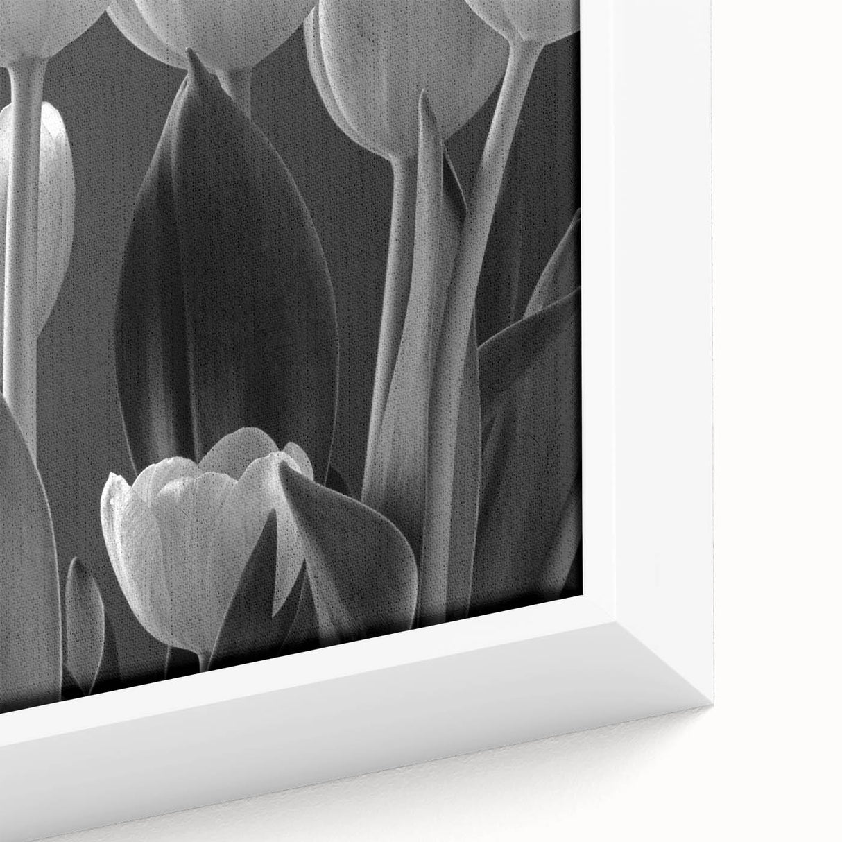 Close-up view of a framed botanical tulip wall art piece, showcasing vibrant colors and intricate details on a canvas, perfect for home decor enhancement.