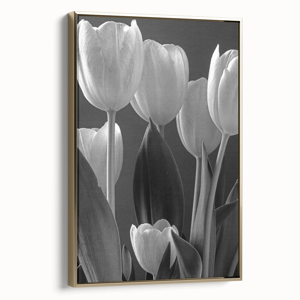 Framed botanical wall art featuring a vibrant tulip design on canvas with a luxurious gold frame, showcasing elegance and nature-inspired decor for home interiors.
