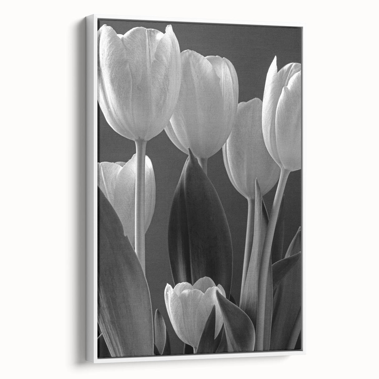 Framed canvas wall art showcasing a botanical tulip design in vibrant colors, displayed in a sleek white frame, enhancing modern decor aesthetics.
