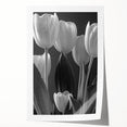 Botanical wall art design featuring vibrant tulips in a colorful arrangement, perfect for home decor. The rolled print showcases intricate details and rich colors, ideal for adding a touch of nature-inspired elegance to any space.