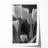 Botanical wall art design featuring vibrant tulips in a colorful arrangement, perfect for home decor. The rolled print showcases intricate details and rich colors, ideal for adding a touch of nature-inspired elegance to any space.