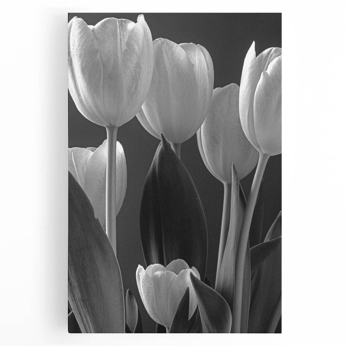 Vibrant botanical tulip wall art design on stretched canvas, showcasing intricate floral details and rich colors, perfect for home decor and nature lovers.