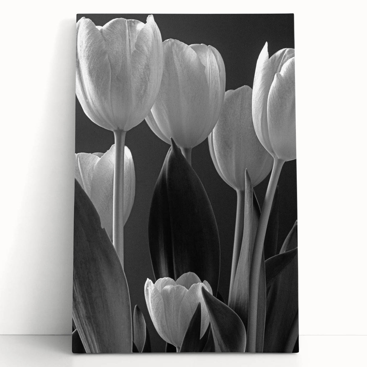 Botanical wall art canvas featuring a vibrant tulip design, showcasing intricate floral details and rich colors, perfect for home decor or art enthusiasts.