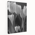 Stretched canvas wall art showcasing a vibrant botanical tulip design, featuring rich colors and intricate details, perfect for home decor enhancement.