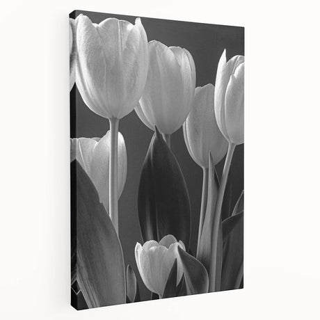 Stretched canvas wall art showcasing a vibrant botanical tulip design, featuring rich colors and intricate details, perfect for home decor enhancement.