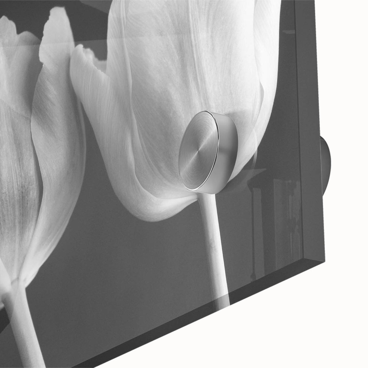 Close-up of a vibrant botanical wall art design featuring colorful tulips, printed on acrylic glass, showcasing intricate details and textures for modern decor.