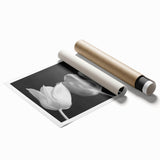 Botanical wall art print showcasing vibrant tulip designs in various colors, rolled for easy display and storage, perfect for enhancing home decor.