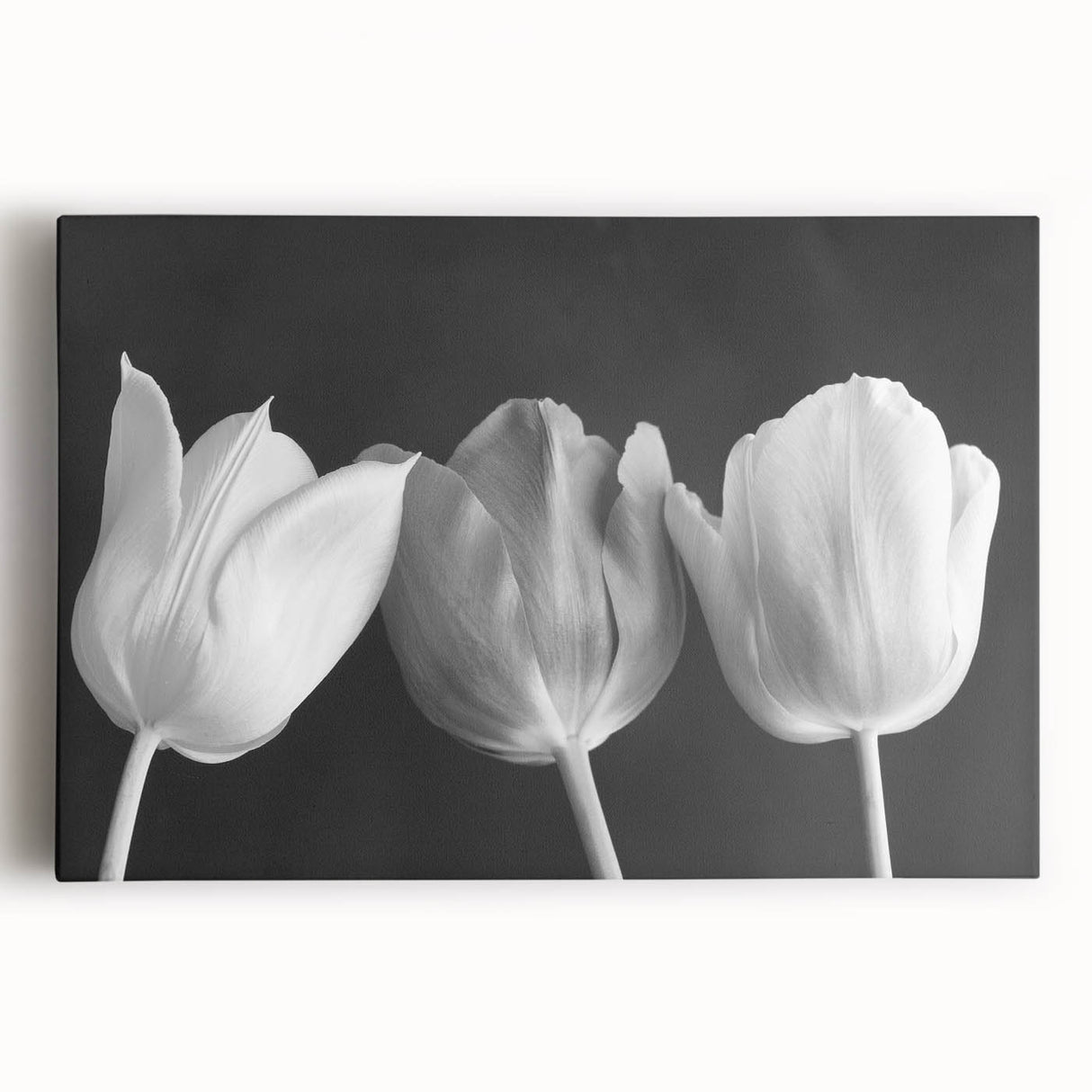 Stretched canvas wall art featuring a vibrant botanical tulip design, showcasing intricate floral details and rich colors, perfect for home decor enhancement.